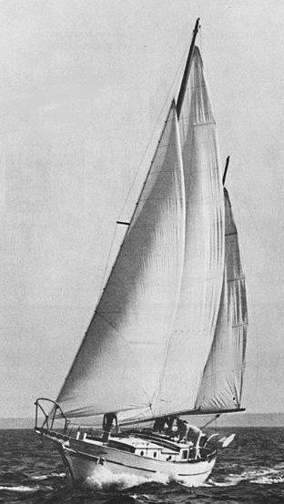 ISLAND TRADER 41