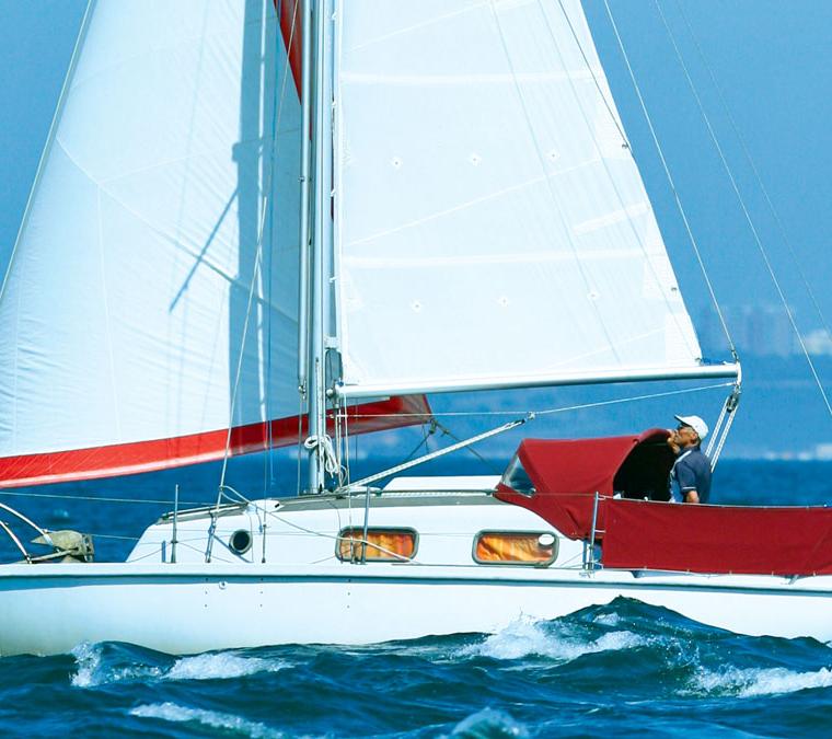 KINGFISHER 26