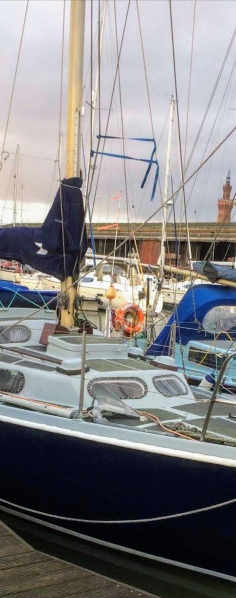 KINGFISHER 30