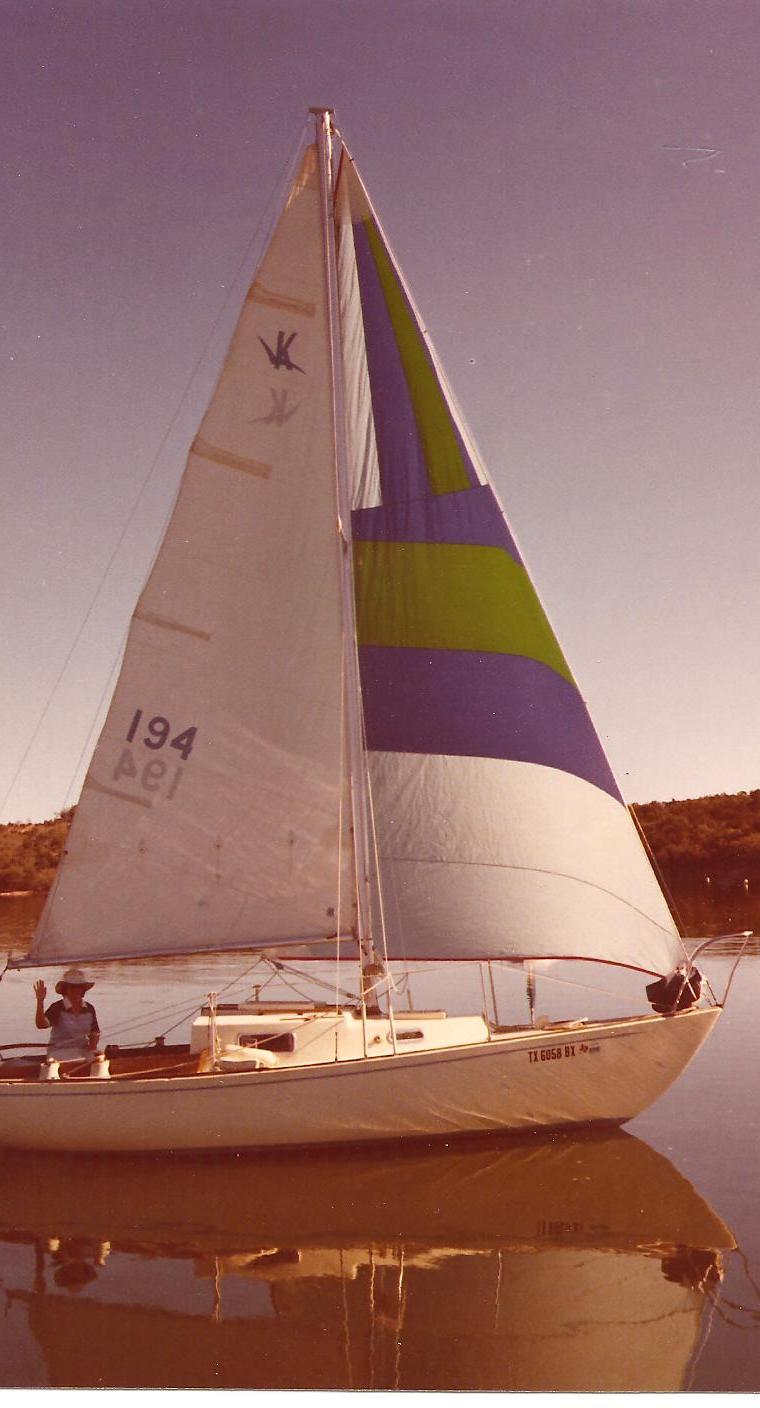 KITTIWAKE 23