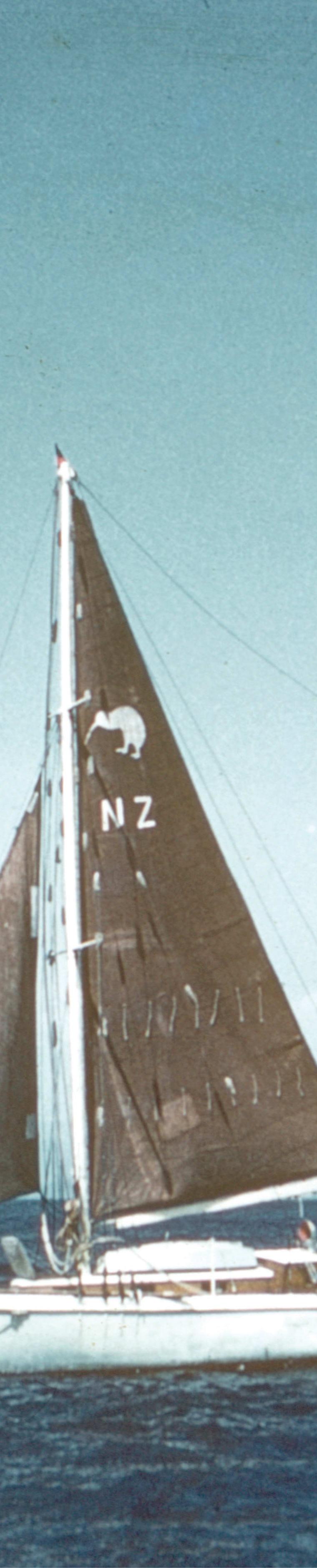 KIWI 22