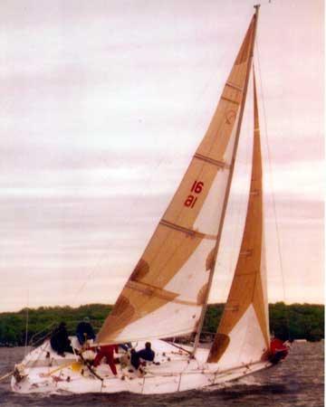 KIWI 35
