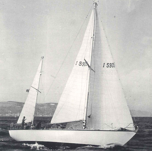 KOALA 50