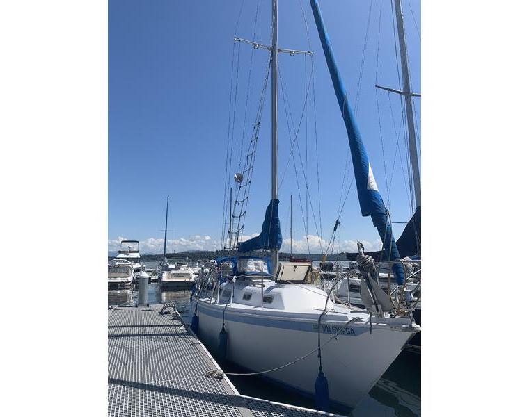 L 29