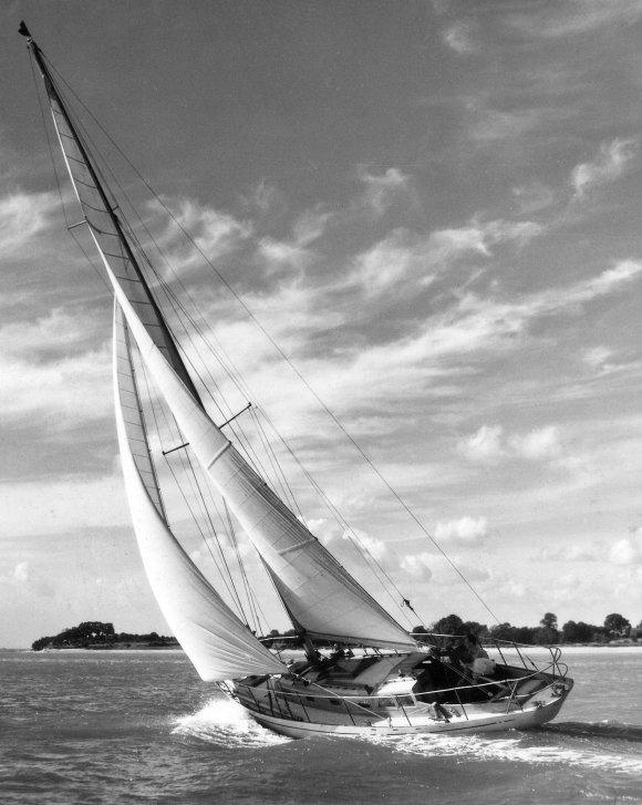LION CLASS (ROBB)