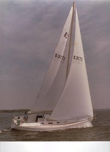 LIPPINCOTT 36