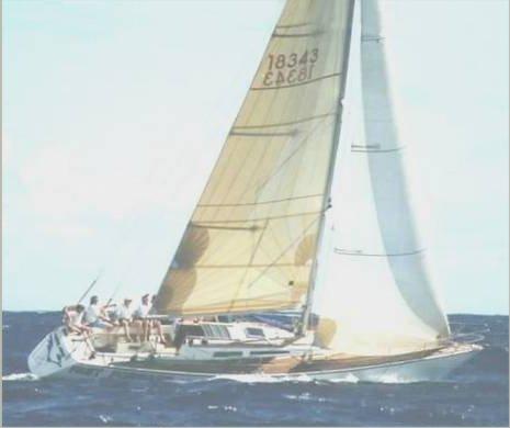 LUFFE 44