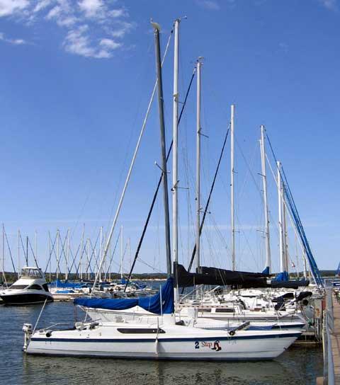 MACGREGOR 36