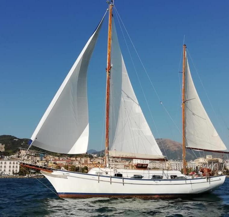 MAGELLAN 36