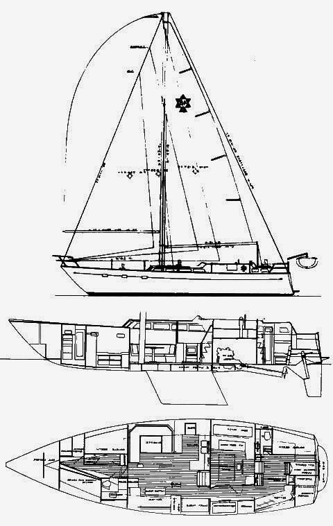 MAPLE LEAF 48