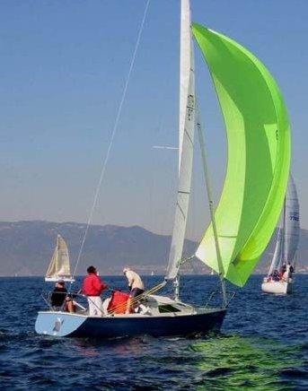 MARTIN 242