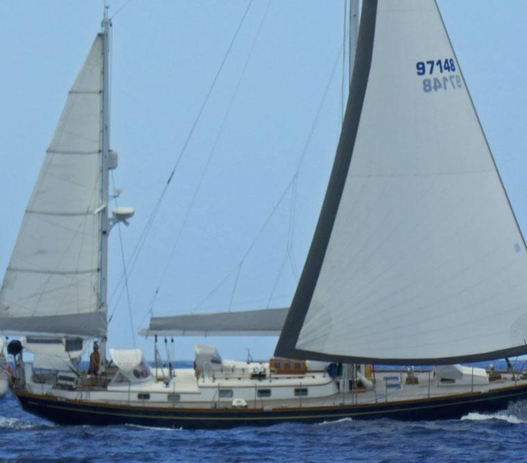 MASON 53