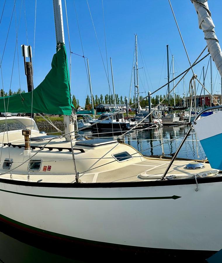 MERCATOR 30