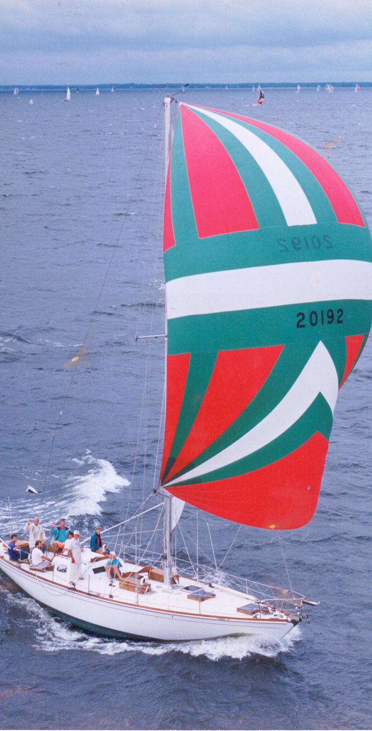 MERCER 44