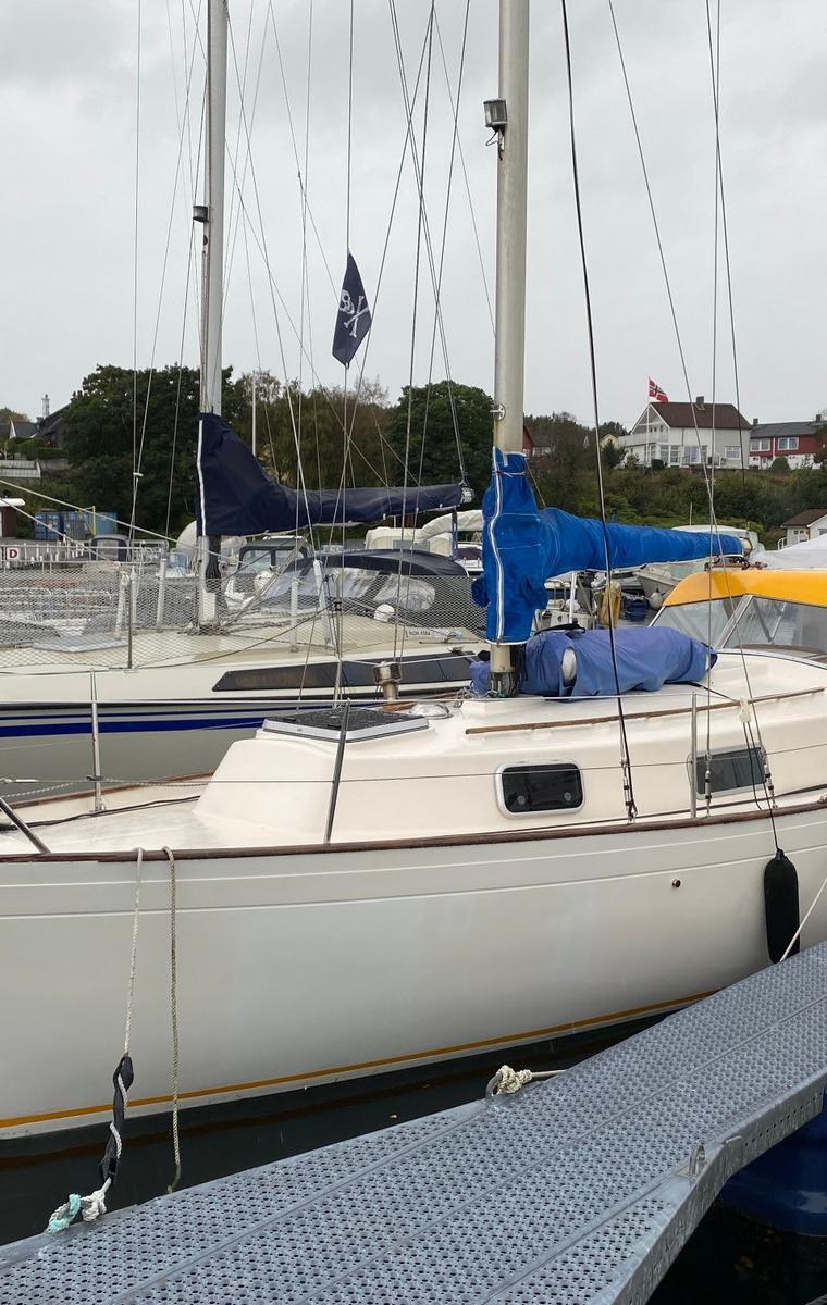 MONSUN 31