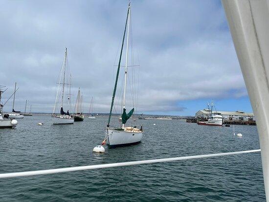 MONTEREY 24