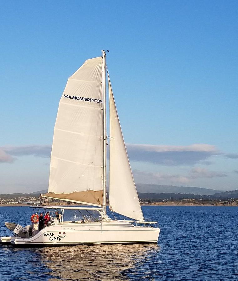 MONTEREY CLIPPER