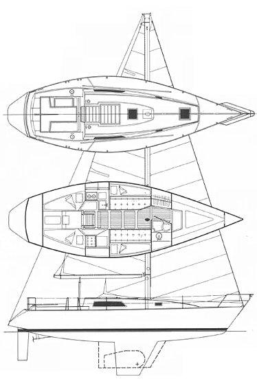 MORGAN 36-4/6