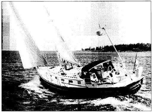 MORRIS 40