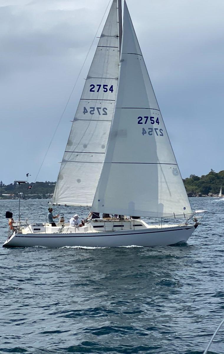 MOTTLE 33