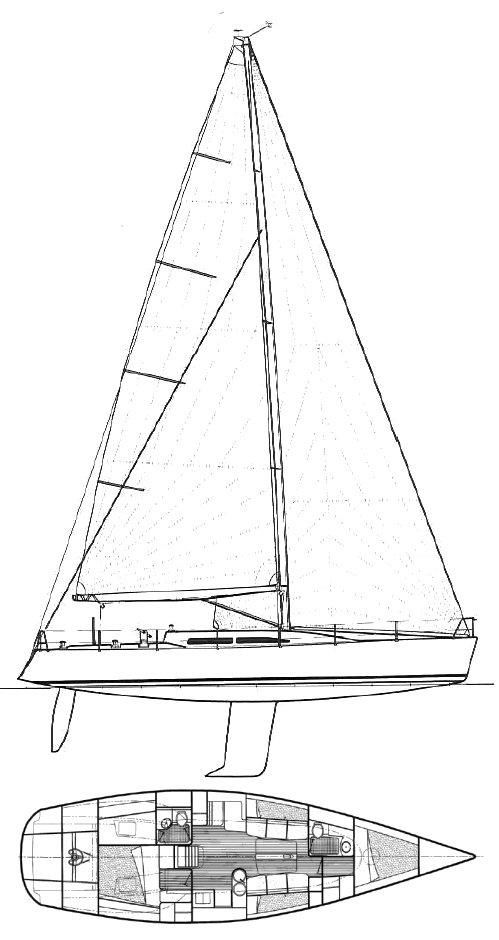NELSON MAREK 46