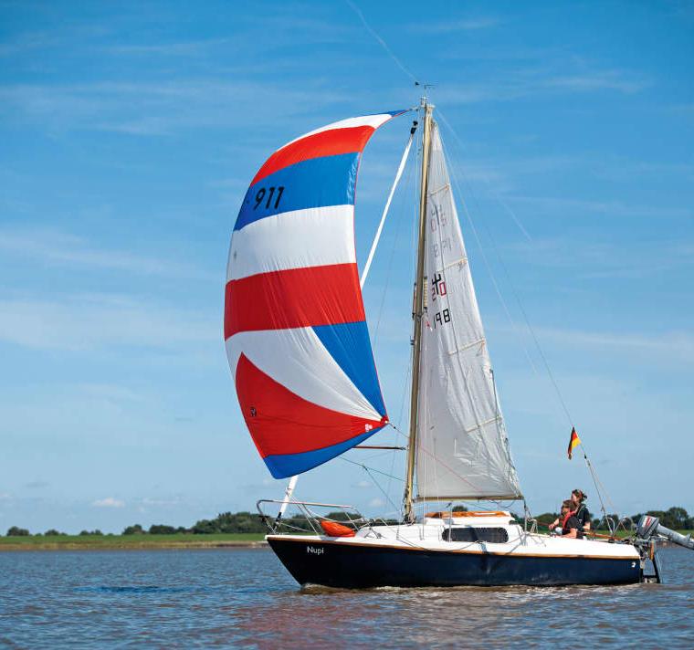 NEPTUN 212
