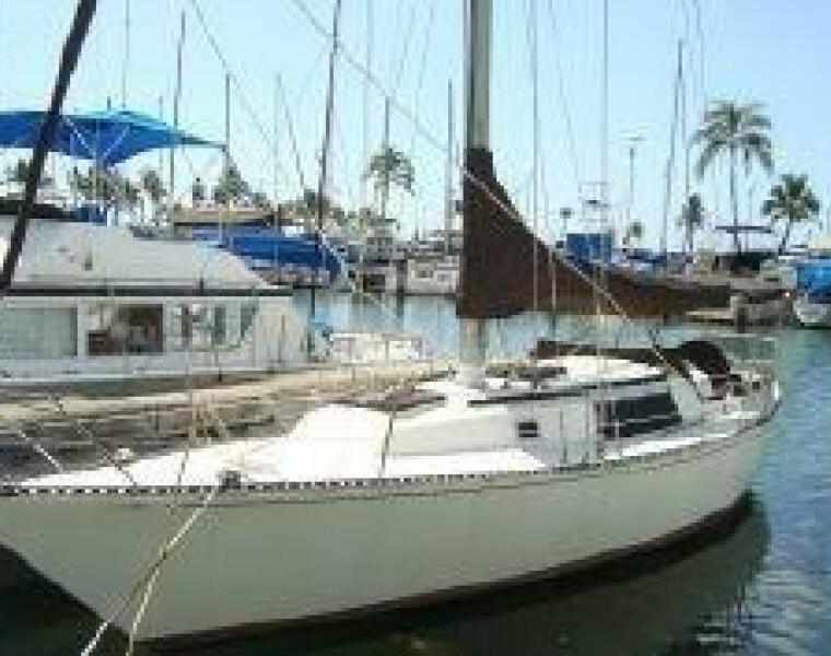 NEWPORT 41 Mk IIIA