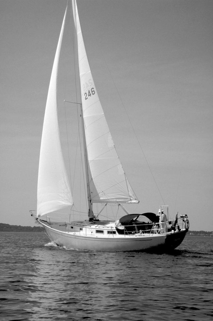 NIAGARA 30