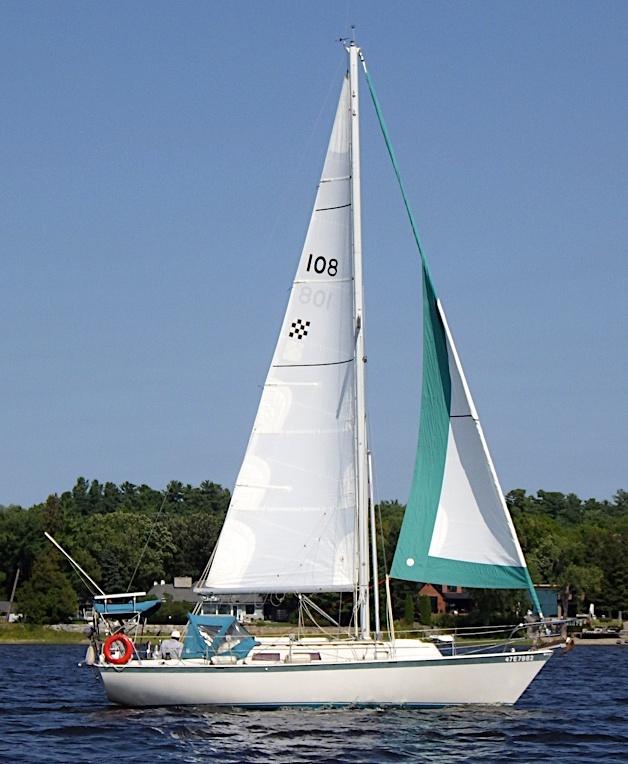 NIAGARA 31