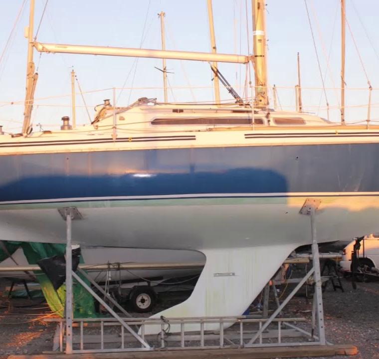 NICHOLSON 30 MKII