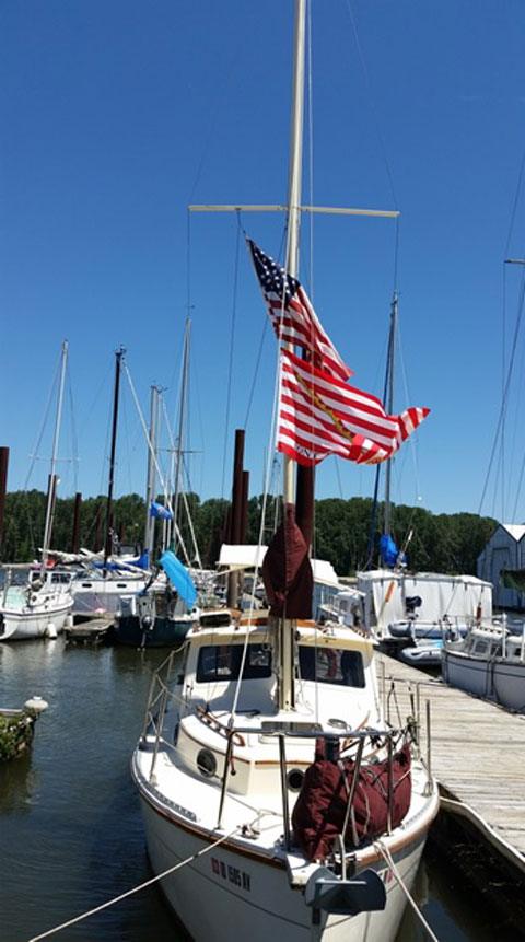 NIMBLE 25 ARCTIC