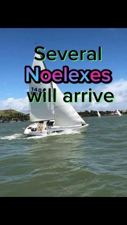 NOELEX 22