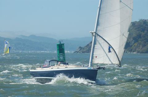 NONSUCH 40
