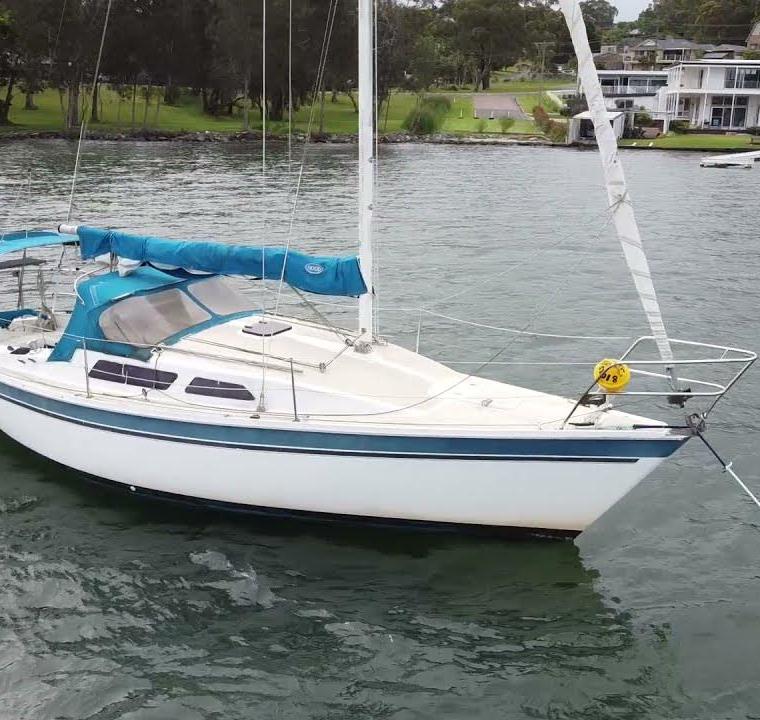 NORTHSHORE 27