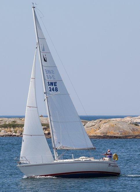NOVA 33 (ALBIN)