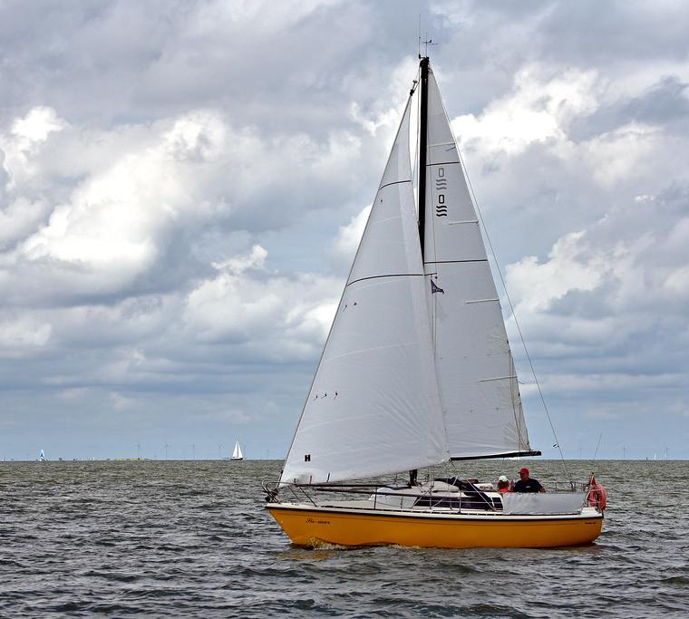 OCEAAN 25