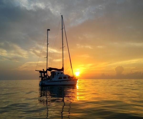 OCEANIC 30