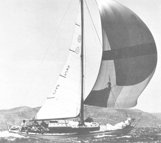 OFFSHORE 36 (CHEOY LEE)
