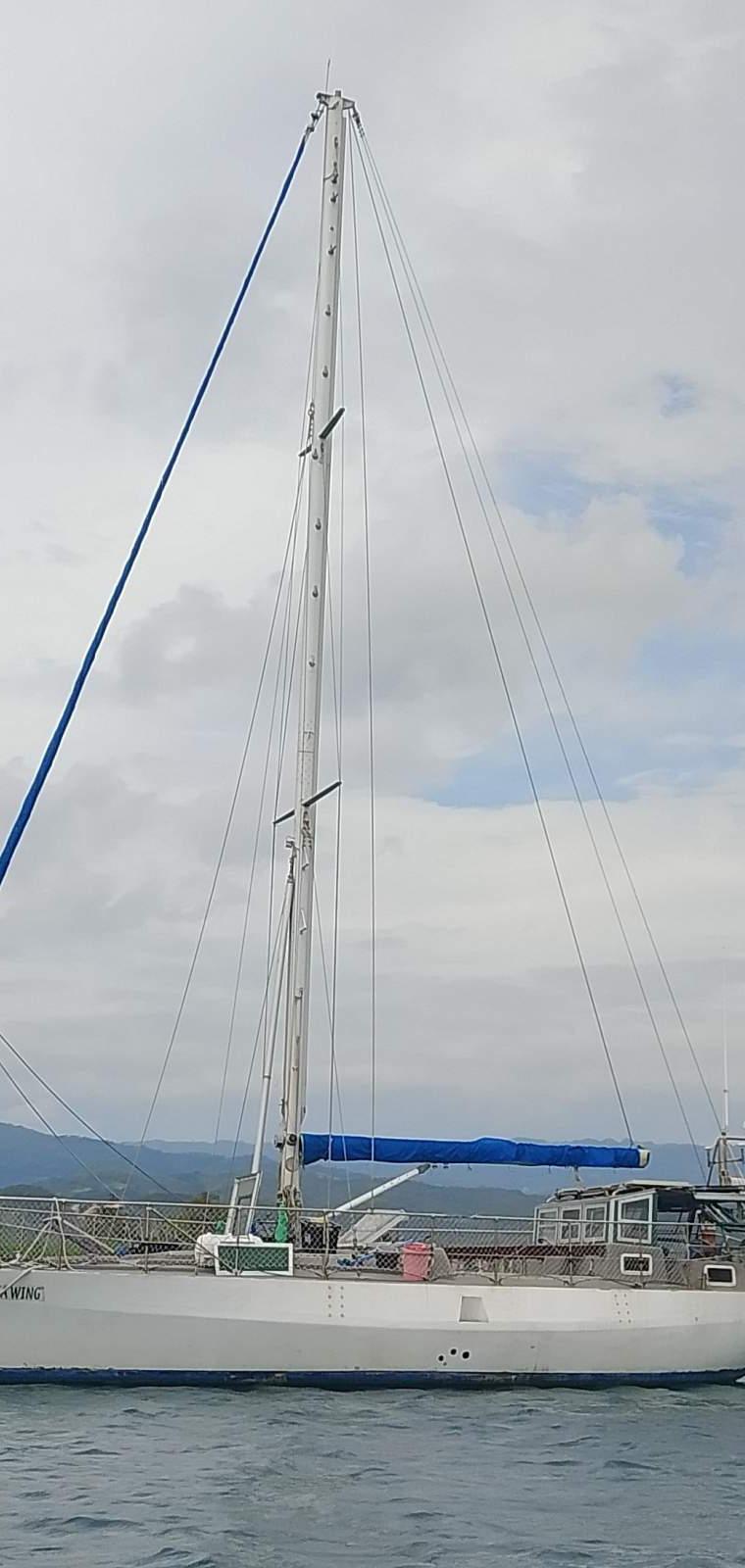OFFSHORE 39 (CHEOY LEE)