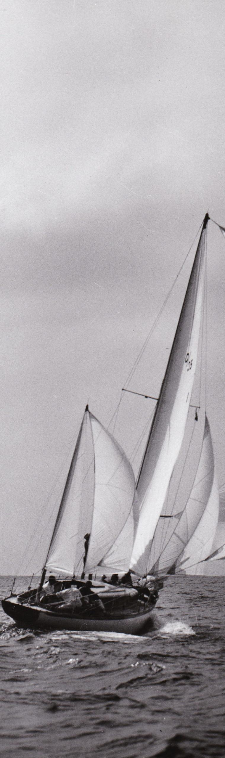 OHLSON 35
