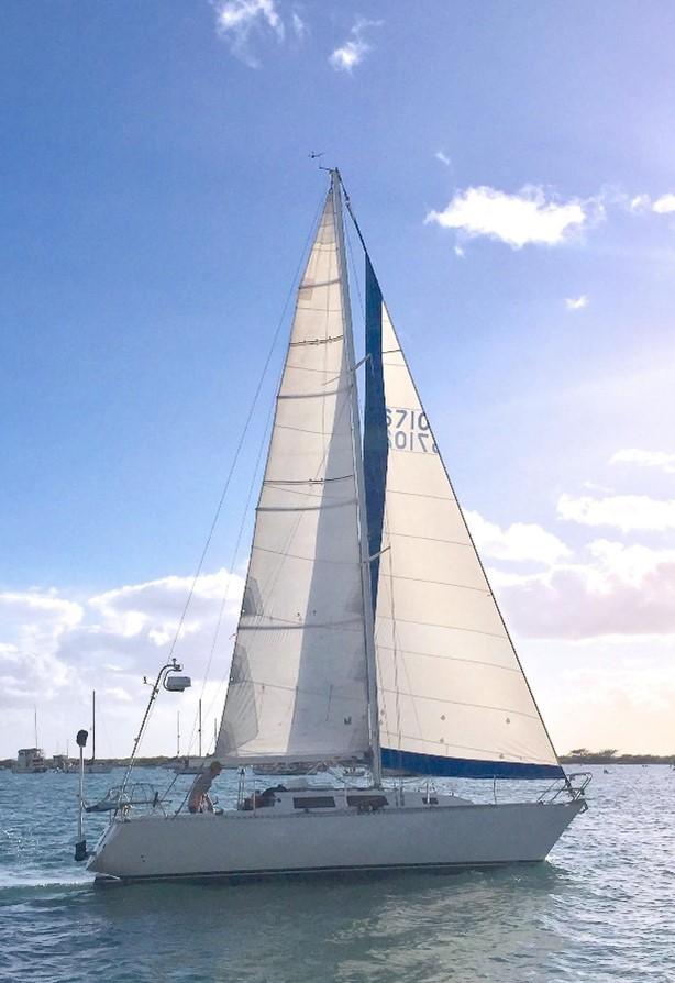 PETERSON 30 (CHITA)