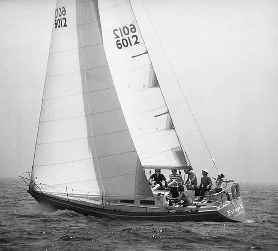 PETERSON 34