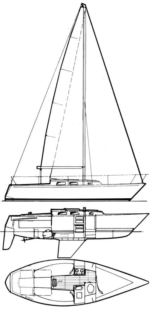PETERSON 37