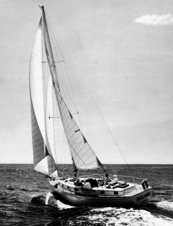 PETERSON 44 CUTTER
