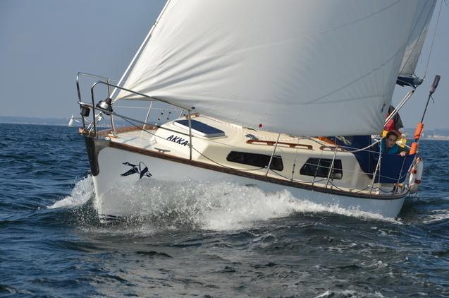 PHANTOM 30 (STREUER)