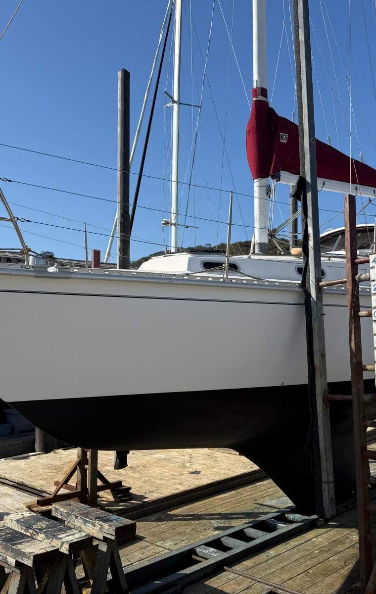 PHANTOM 34 (STREUER)
