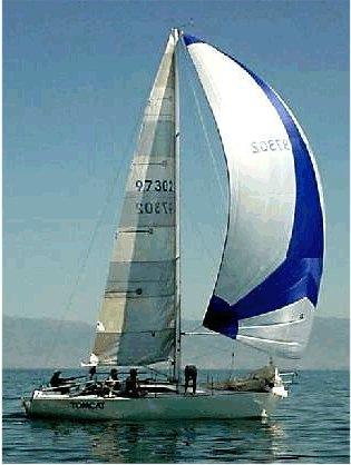 PINNACLE 29