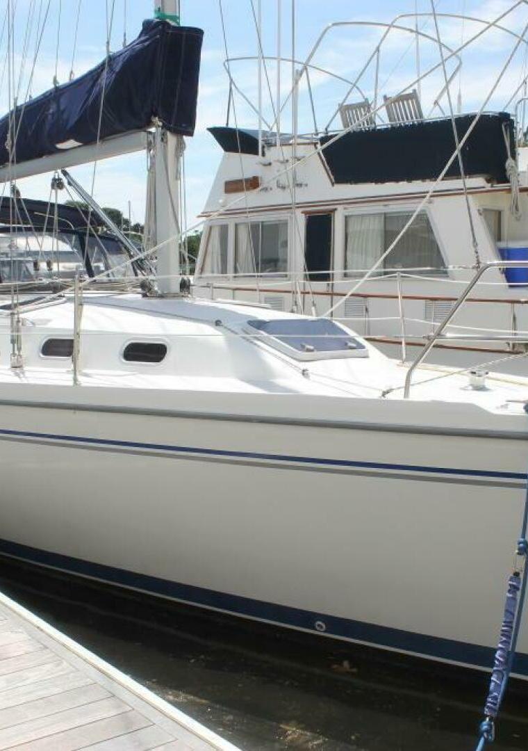 POLARIS 33 (HOLLAND)
