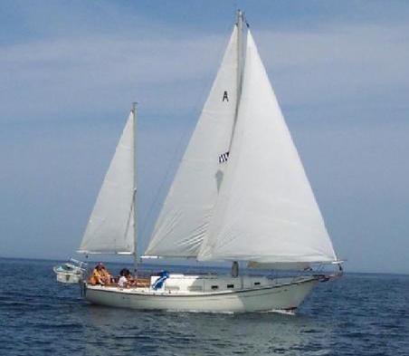 PRINCESS 36 (ALLIED)