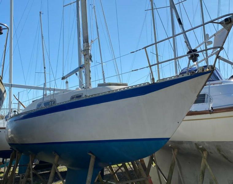 PUMA 26